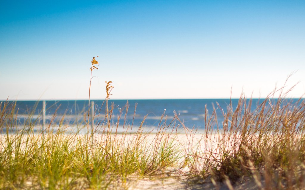 Introduction (The Reason Behind RealTalkBlog)